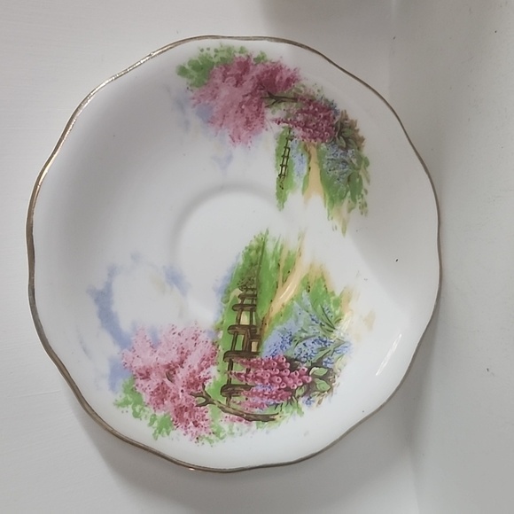 Vtg Royal Patrician Tea Cup & Saucer Blue Flowers Bone China England - Picture 6 of 7